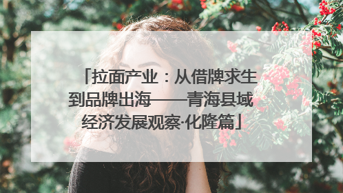 拉面产业：从借牌求生到品牌出海——青海县域经济发展观察·化隆篇
