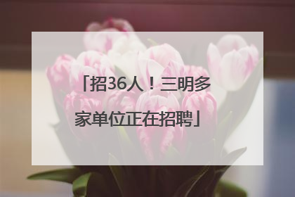 招36人！三明多家单位正在招聘