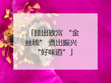挂出致富 “金丝线” 煮出振兴“好味道”