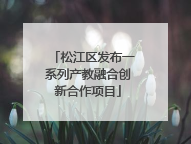 松江区发布一系列产教融合创新合作项目