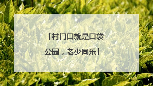 村门口就是口袋公园，老少同乐