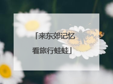 来东郊记忆 看旅行蛙蛙