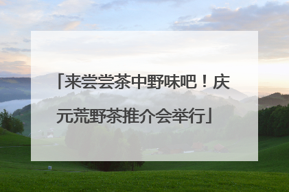 来尝尝茶中野味吧！庆元荒野茶推介会举行