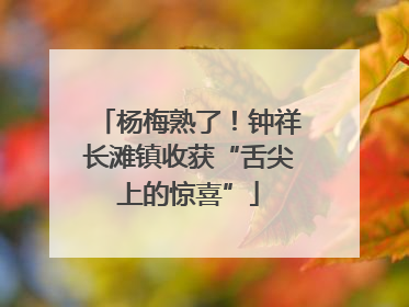 杨梅熟了！钟祥长滩镇收获“舌尖上的惊喜”