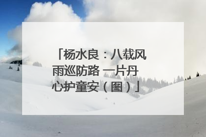 杨水良：八载风雨巡防路 一片丹心护童安（图）