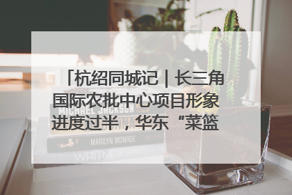 杭绍同城记｜长三角国际农批中心项目形象进度过半，华东“菜篮子”建设加码提速！