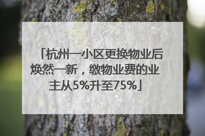 杭州一小区更换物业后焕然一新，缴物业费的业主从5%升至75%