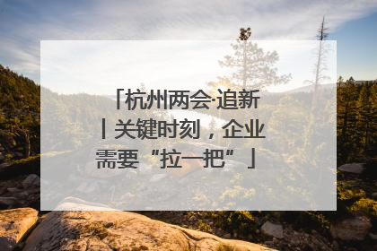 杭州两会·追新丨关键时刻，企业需要“拉一把”