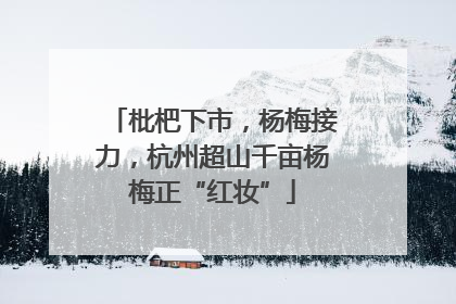 枇杷下市，杨梅接力，杭州超山千亩杨梅正“红妆”