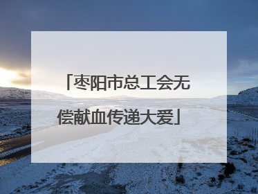 枣阳市总工会无偿献血传递大爱