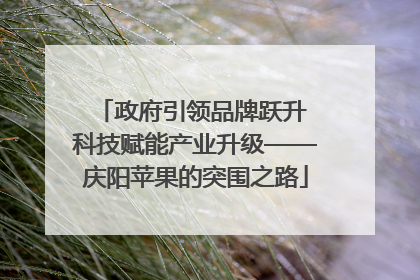 政府引领品牌跃升 科技赋能产业升级——庆阳苹果的突围之路