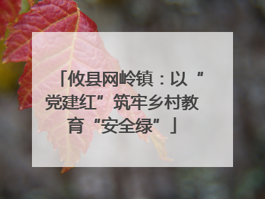 攸县网岭镇：以“党建红”筑牢乡村教育“安全绿”