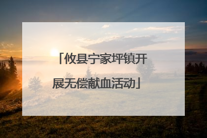 攸县宁家坪镇开展无偿献血活动