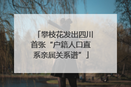 攀枝花发出四川首张“户籍人口直系亲属关系谱”
