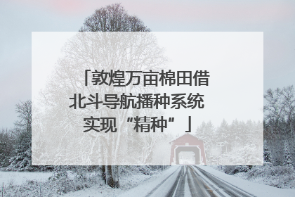 敦煌万亩棉田借北斗导航播种系统实现“精种”