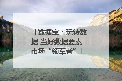 数据宝：玩转数据 当好数据要素市场“领军者”