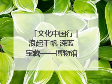 文化中国行｜浪起千帆 深蓝宝藏——博物馆里的海丝遗珍