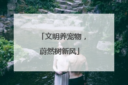 文明养宠物，蔚然树新风