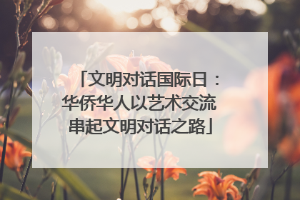 文明对话国际日：华侨华人以艺术交流串起文明对话之路