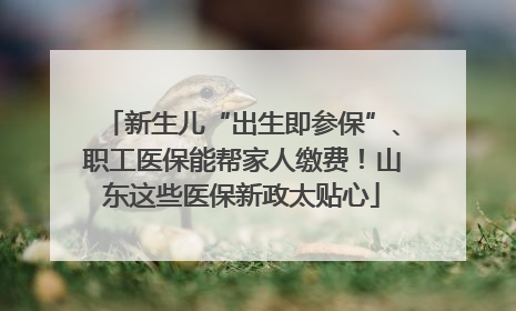 新生儿“出生即参保”、职工医保能帮家人缴费！山东这些医保新政太贴心
