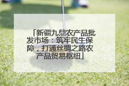 新疆九鼎农产品批发市场：筑牢民生保障，打通丝绸之路农产品贸易枢纽