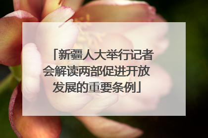 新疆人大举行记者会解读两部促进开放发展的重要条例