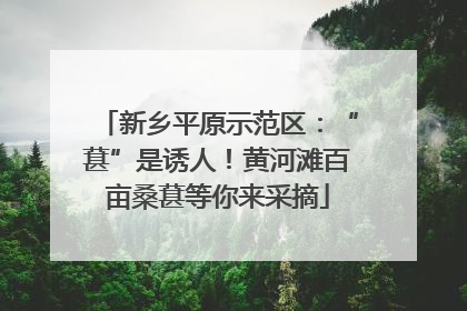 新乡平原示范区：“葚”是诱人！黄河滩百亩桑葚等你来采摘