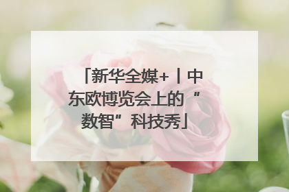 新华全媒+丨中东欧博览会上的“数智”科技秀