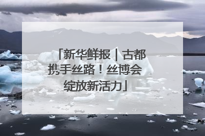 新华鲜报｜古都携手丝路！丝博会绽放新活力