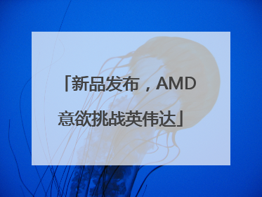 新品发布，AMD意欲挑战英伟达
