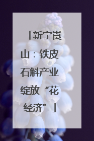 新宁崀山：铁皮石斛产业绽放“花经济”