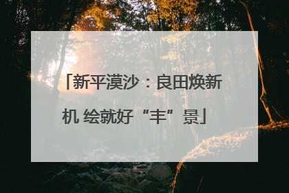 新平漠沙：良田焕新机 绘就好“丰”景