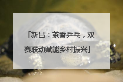 新昌：茶香乒乓，双赛联动赋能乡村振兴