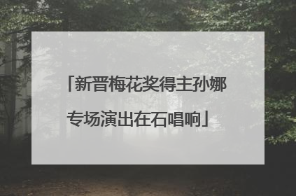 新晋梅花奖得主孙娜专场演出在石唱响