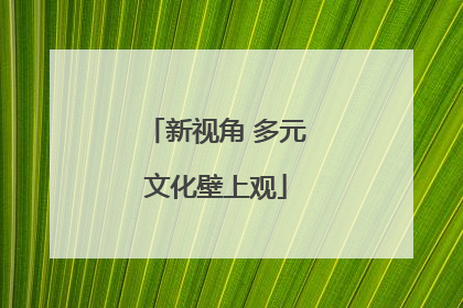 新视角 多元文化壁上观