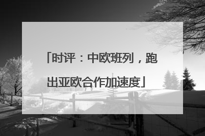 时评：中欧班列，跑出亚欧合作加速度