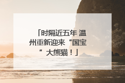 时隔近五年 温州重新迎来“国宝”大熊猫！