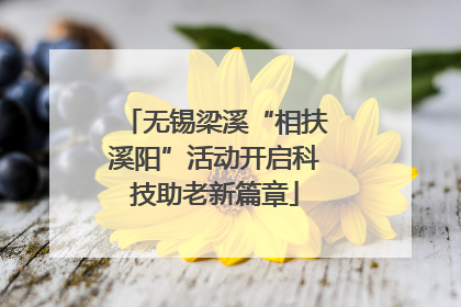 无锡梁溪“相扶溪阳”活动开启科技助老新篇章
