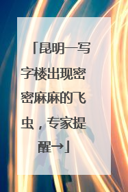 昆明一写字楼出现密密麻麻的飞虫，专家提醒→