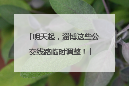明天起，淄博这些公交线路临时调整！