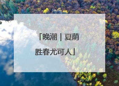 晚潮｜夏荫胜春尤可人