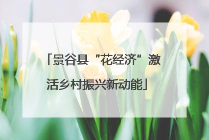 景谷县“花经济”激活乡村振兴新动能