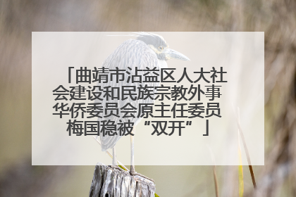 曲靖市沾益区人大社会建设和民族宗教外事华侨委员会原主任委员梅国稳被“双开”