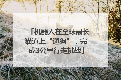 机器人在全球最长猫道上“遛狗”，完成3公里行走挑战