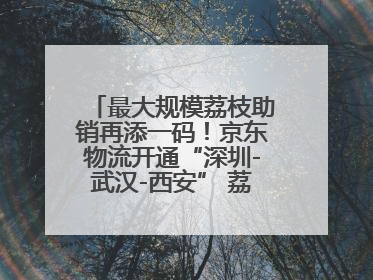 最大规模荔枝助销再添一码！京东物流开通“深圳-武汉-西安” 荔枝全货机航线