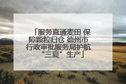 服务直通麦田 保障颗粒归仓 德州市行政审批服务局护航“三夏”生产