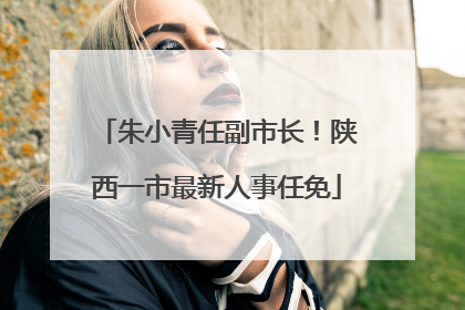 朱小青任副市长！陕西一市最新人事任免