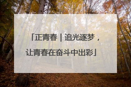 正青春｜追光逐梦，让青春在奋斗中出彩