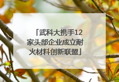 武科大携手12家头部企业成立耐火材料创新联盟