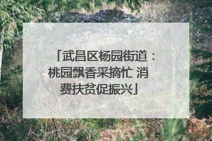武昌区杨园街道：桃园飘香采摘忙 消费扶贫促振兴